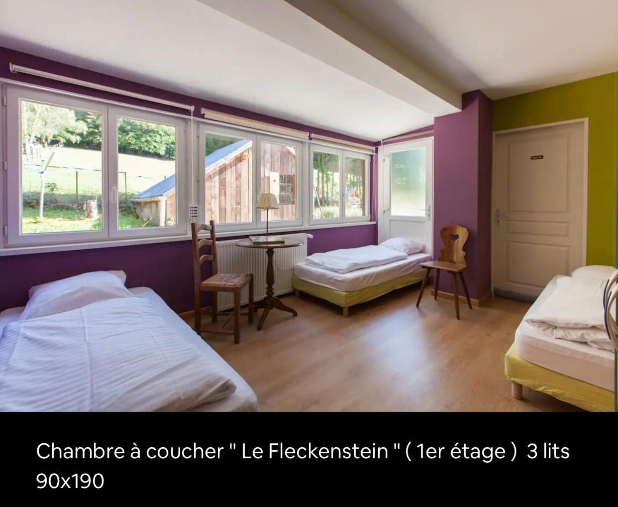 Le Wineck Villa Dambach Exterior photo
