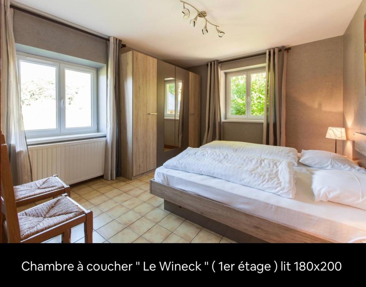 Le Wineck Villa Dambach Exterior photo