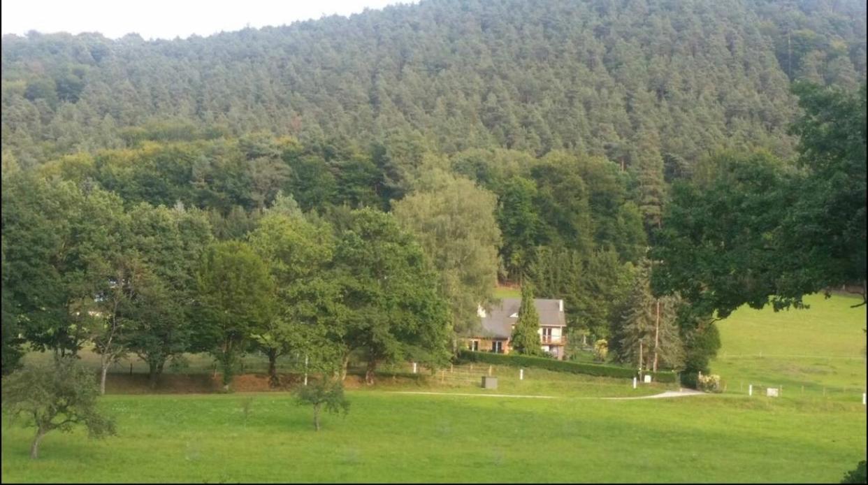 Le Wineck Villa Dambach Exterior photo