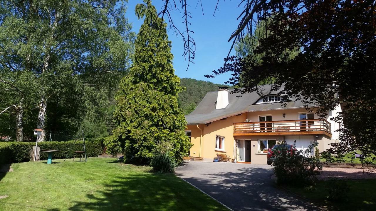 Le Wineck Villa Dambach Exterior photo